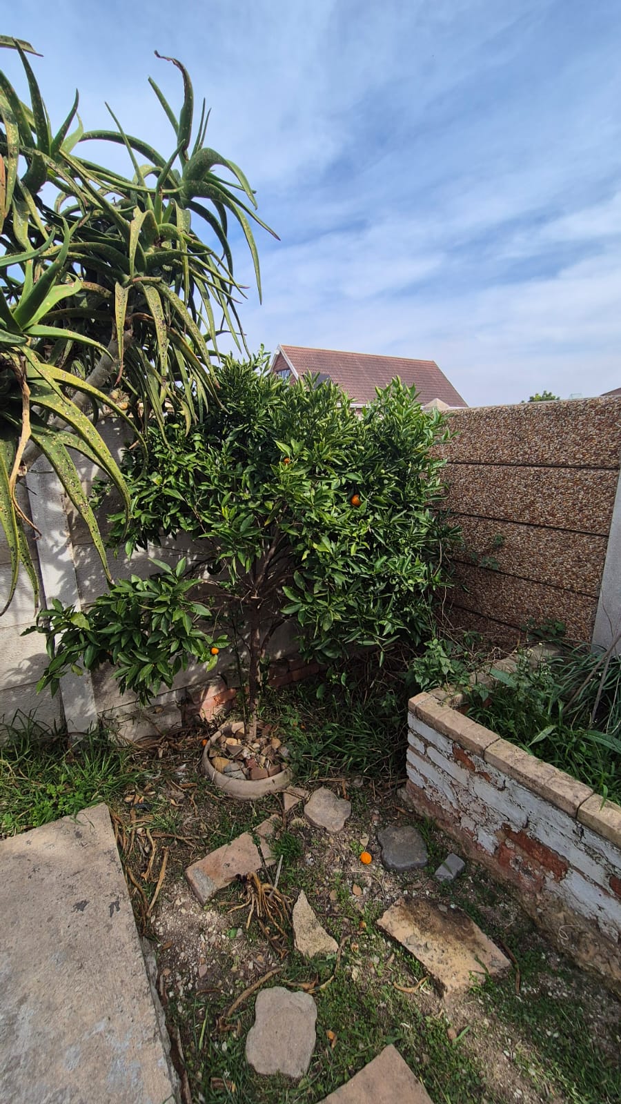 To Let 4 Bedroom Property for Rent in Wavecrest Eastern Cape